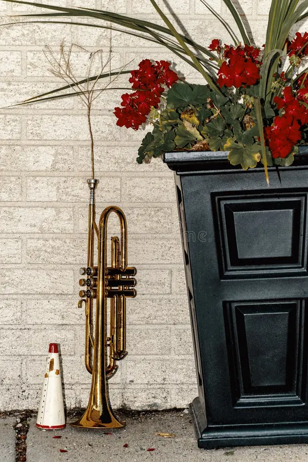 A pear set on a yellow plate upon a soft white canvas texture.